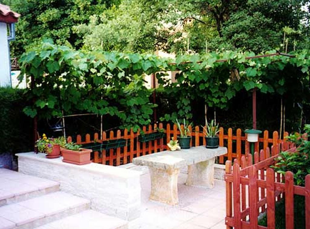 Apartment Felix Poreč Eksteriør bilde